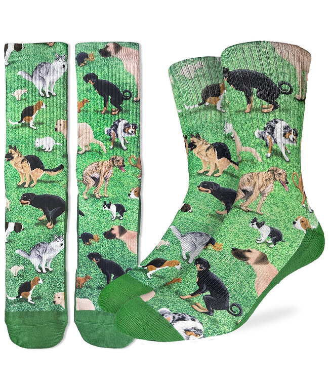 Doggone Fun: Men's Pooping Socks!