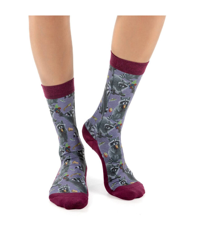 "Snazzy Raccoons: Purple Socks for the Hungry at Heart!"