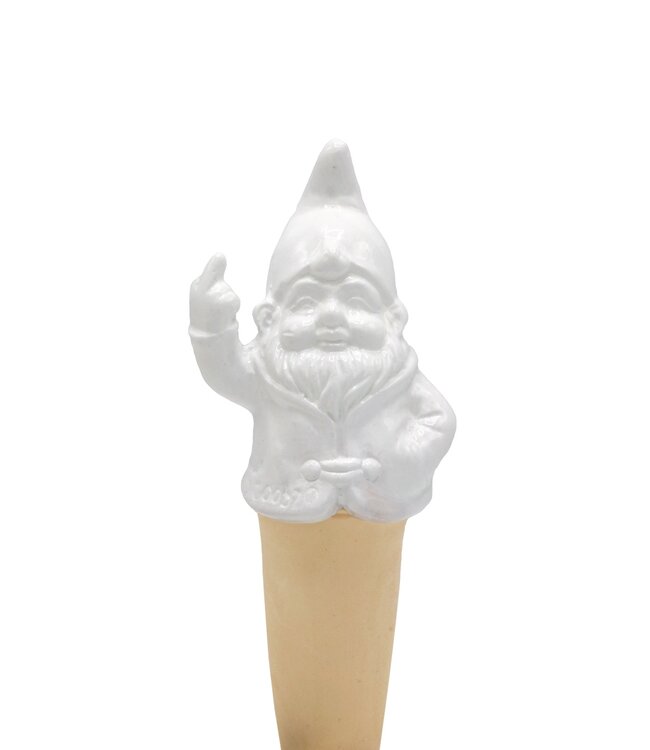 Gnomy: The Self-Watering Guardian of Your Plants!