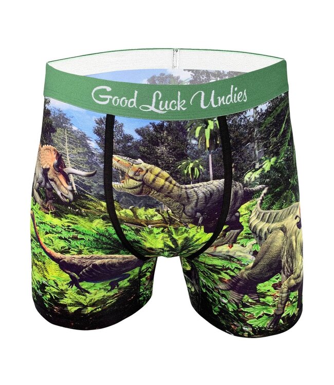 Men's Dinosaur Valley Underwear