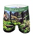 Men's Dinosaur Valley Underwear