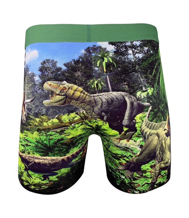 Men's Dinosaur Valley Underwear