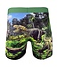 Men's Dinosaur Valley Underwear