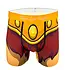 Men's Masters of the Universe Furry Underwear