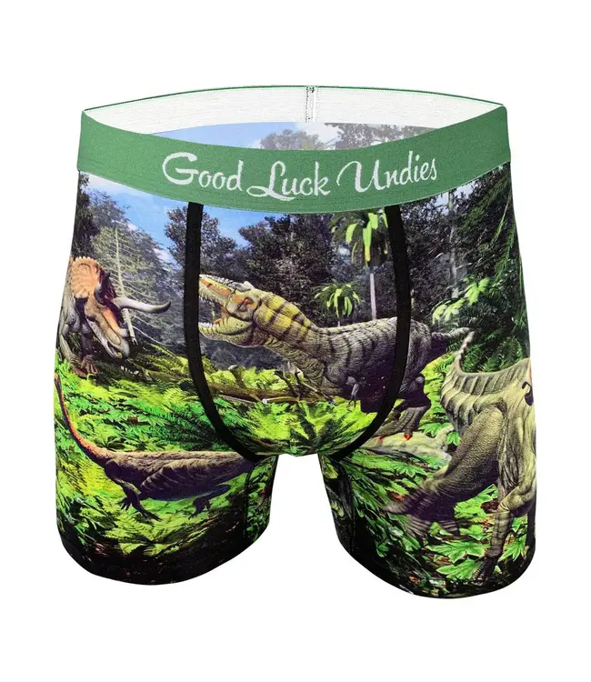 Men's Dinosaur Valley Underwear