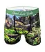 Men's Dinosaur Valley Underwear