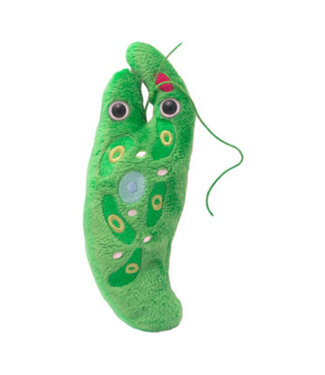 Giant Microbes Euglena