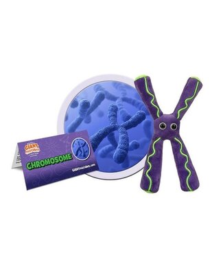 Giant Microbes Chromosome