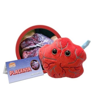 Giant Microbes Placenta