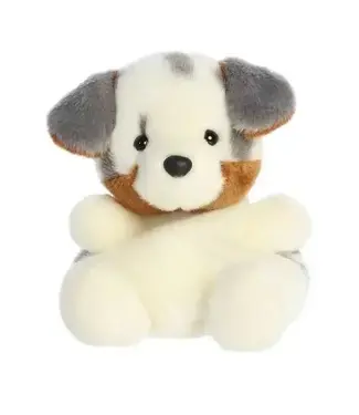 Aurora Ppals- Sydney Aussie