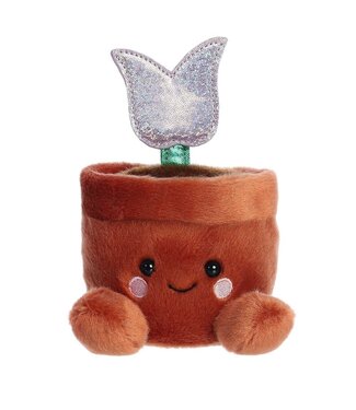 Aurora Ppals - Holland Pot Tulip