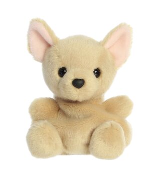 Aurora Ppals- Cookie Chihuahua