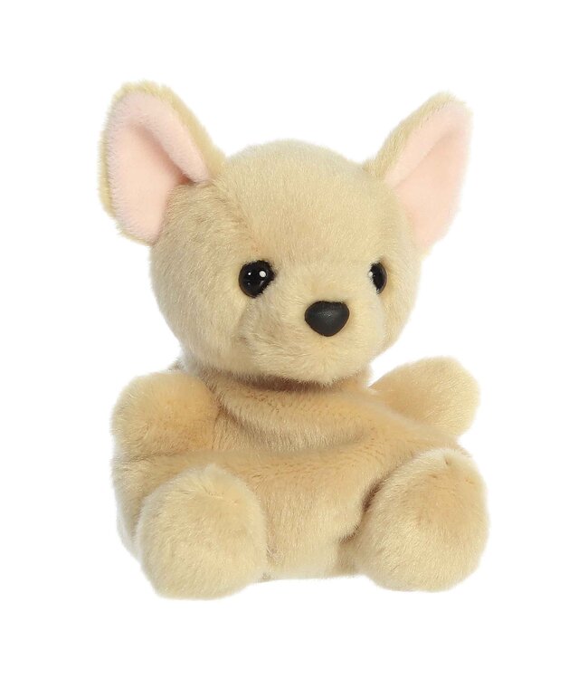 Ppals- Cookie Chihuahua