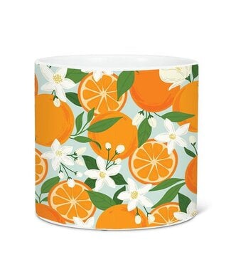 Abbott Lg Orange & Blossom Planter 6.5"