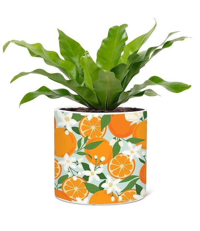 Lg Orange & Blossom Planter 6.5"