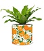 Lg Orange & Blossom Planter 6.5"