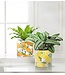 Lg Orange & Blossom Planter 6.5"