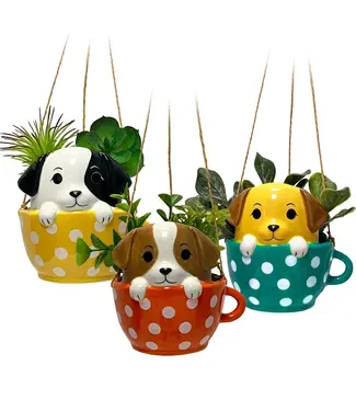 Streamline Pups in Cups Planter