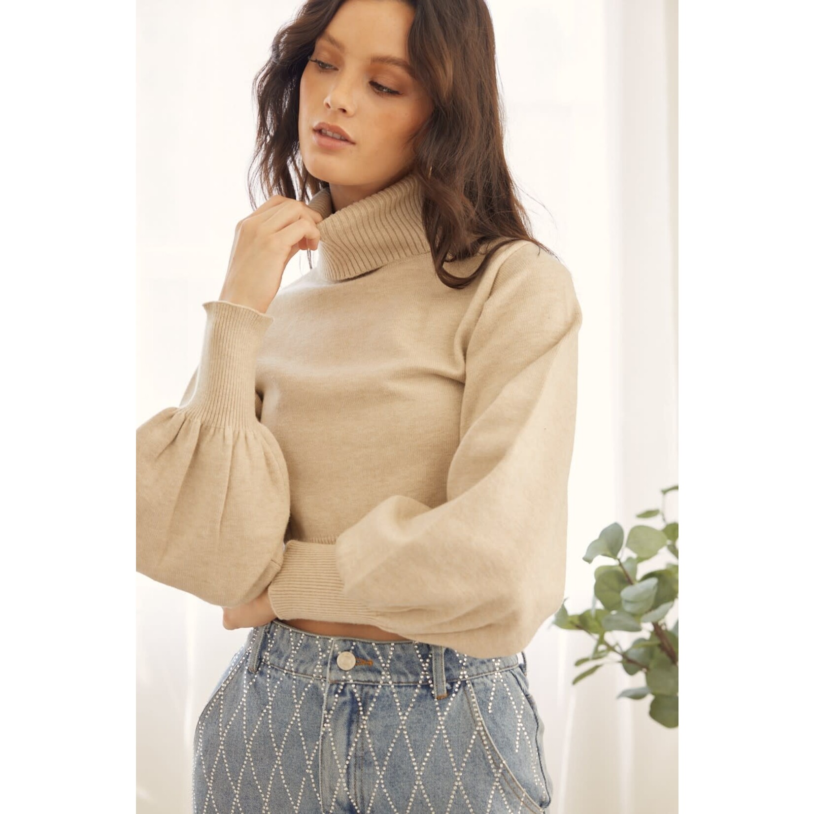 Idem Ditto Cropped Turtleneck Sweater
