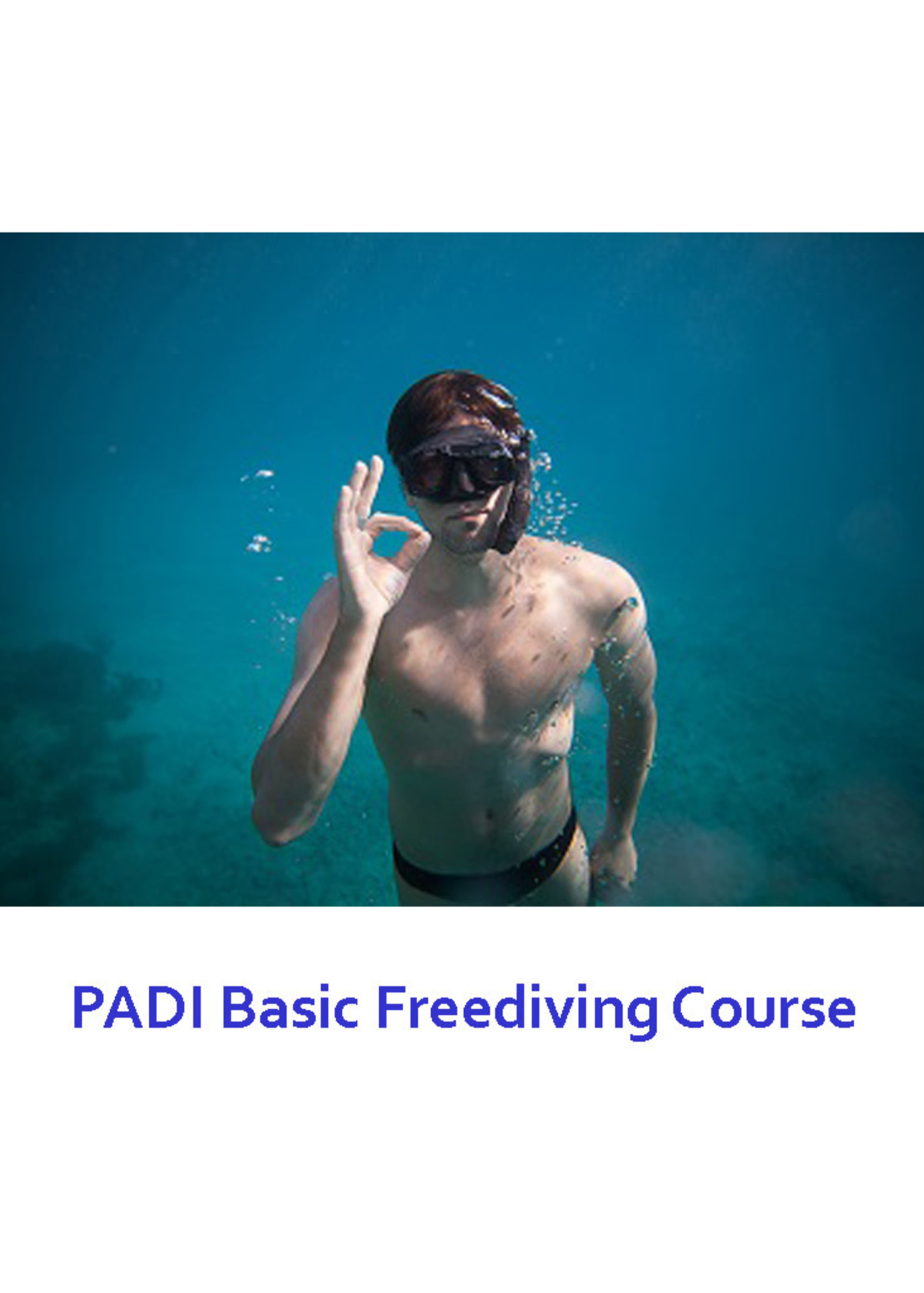 PADI PADI Basic Freediver Course