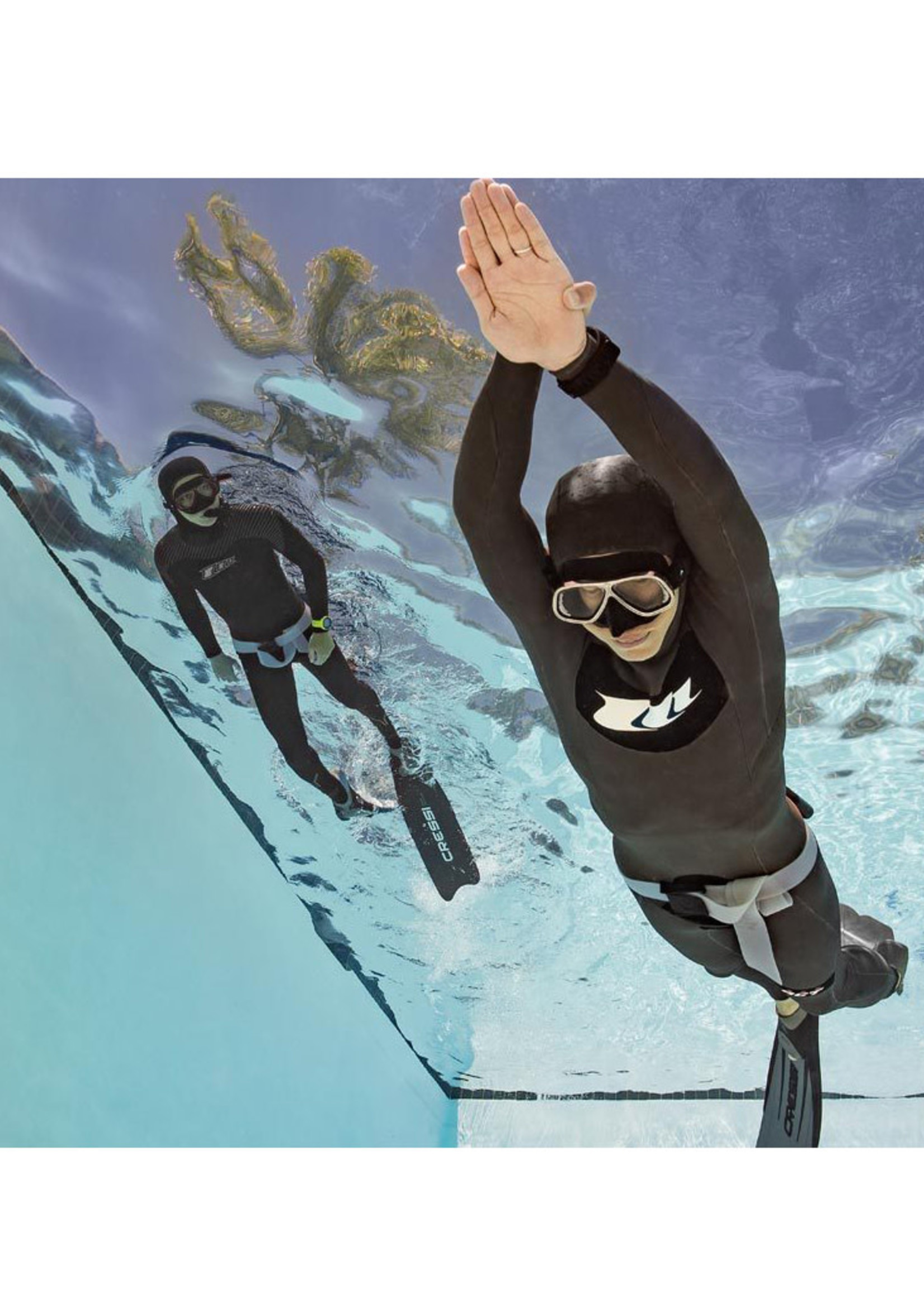 PADI PADI Basic Freediver Course