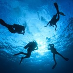 OCEANS Expeditions
