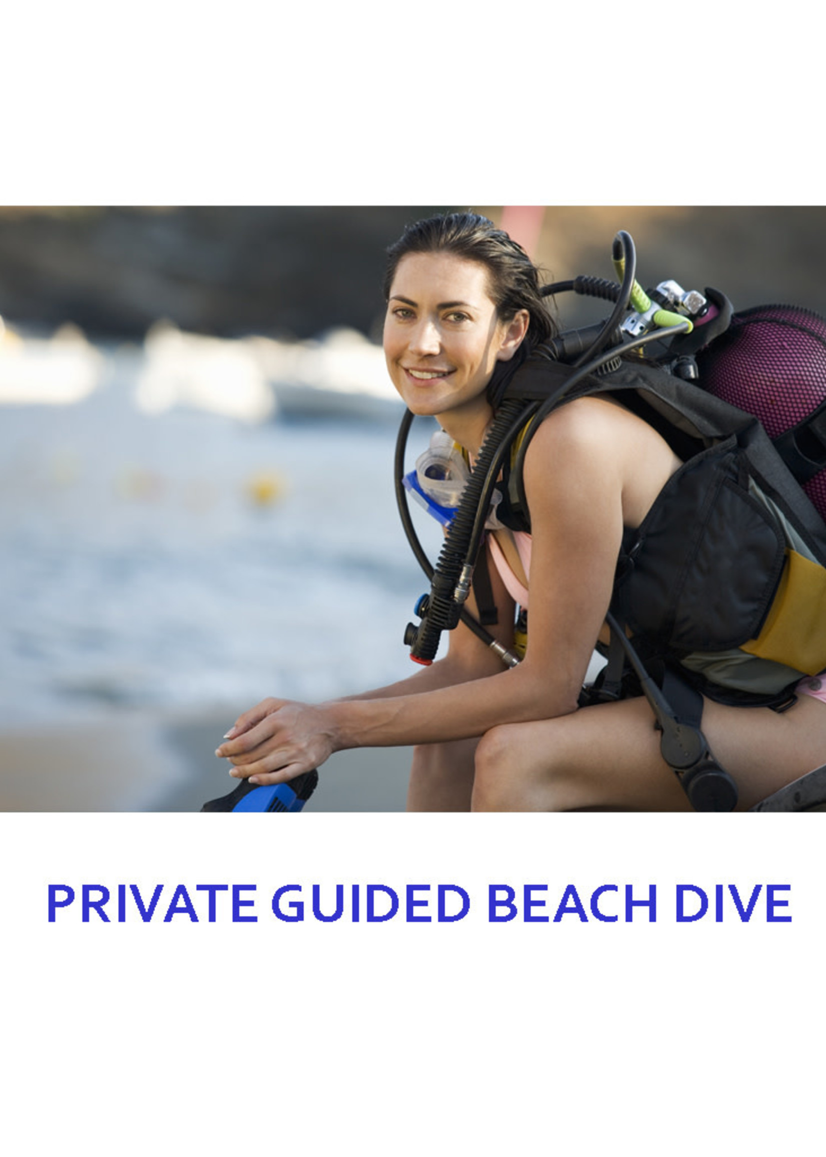 PRIVATE GUIDED  DIVE - 1 DIVE (beach dive)
