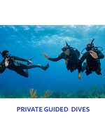 PRIVATE GUIDED DIVE - 4 DIVES (boat trip - 4 tanks included)