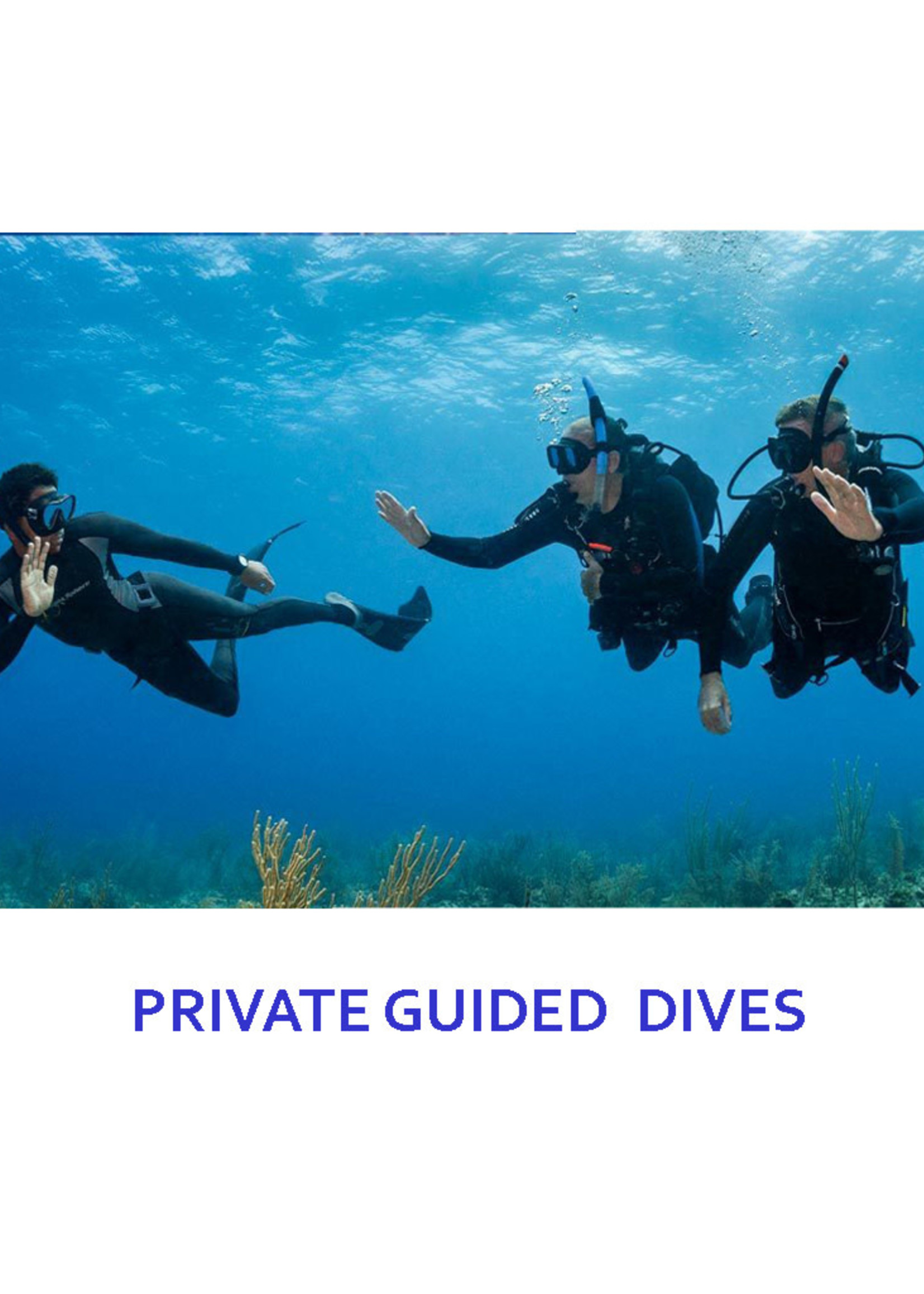 PRIVATE GUIDED DIVE - 4 DIVES (boat trip - 4 tanks included)