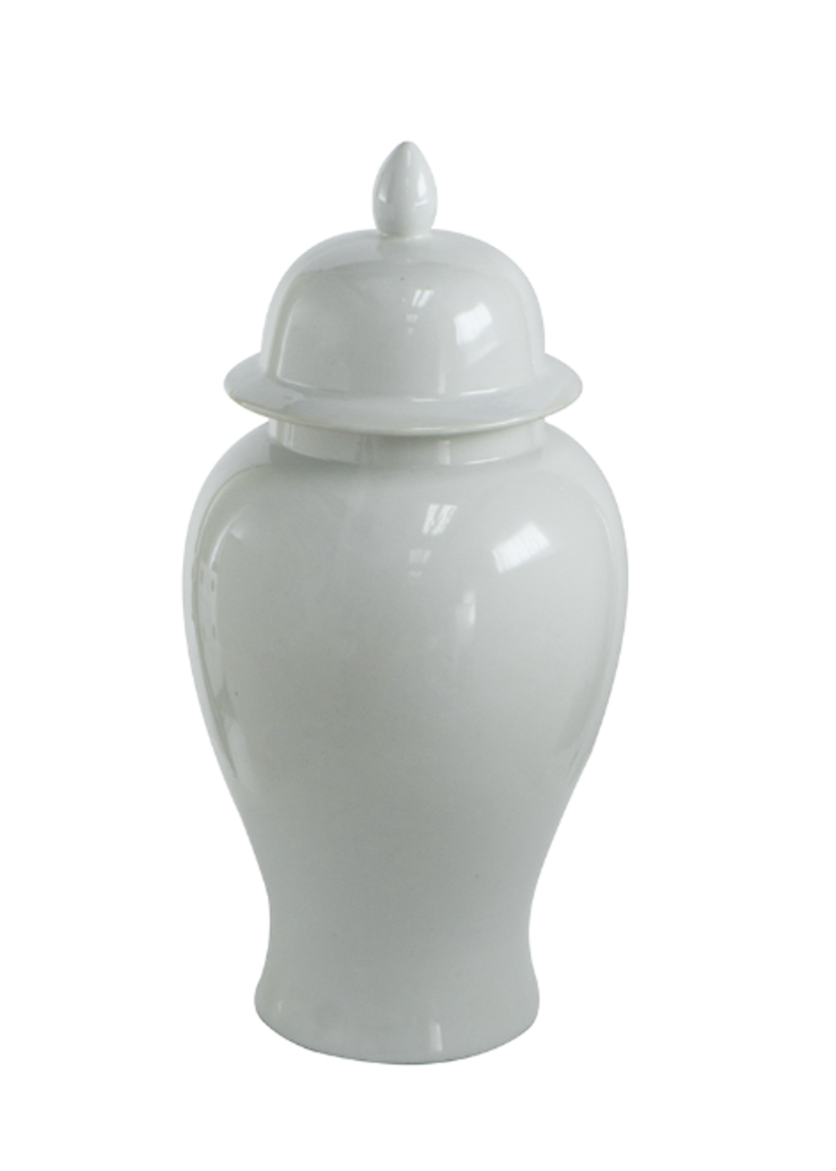 A&B Home AV69774 - Seaford Ginger Jar