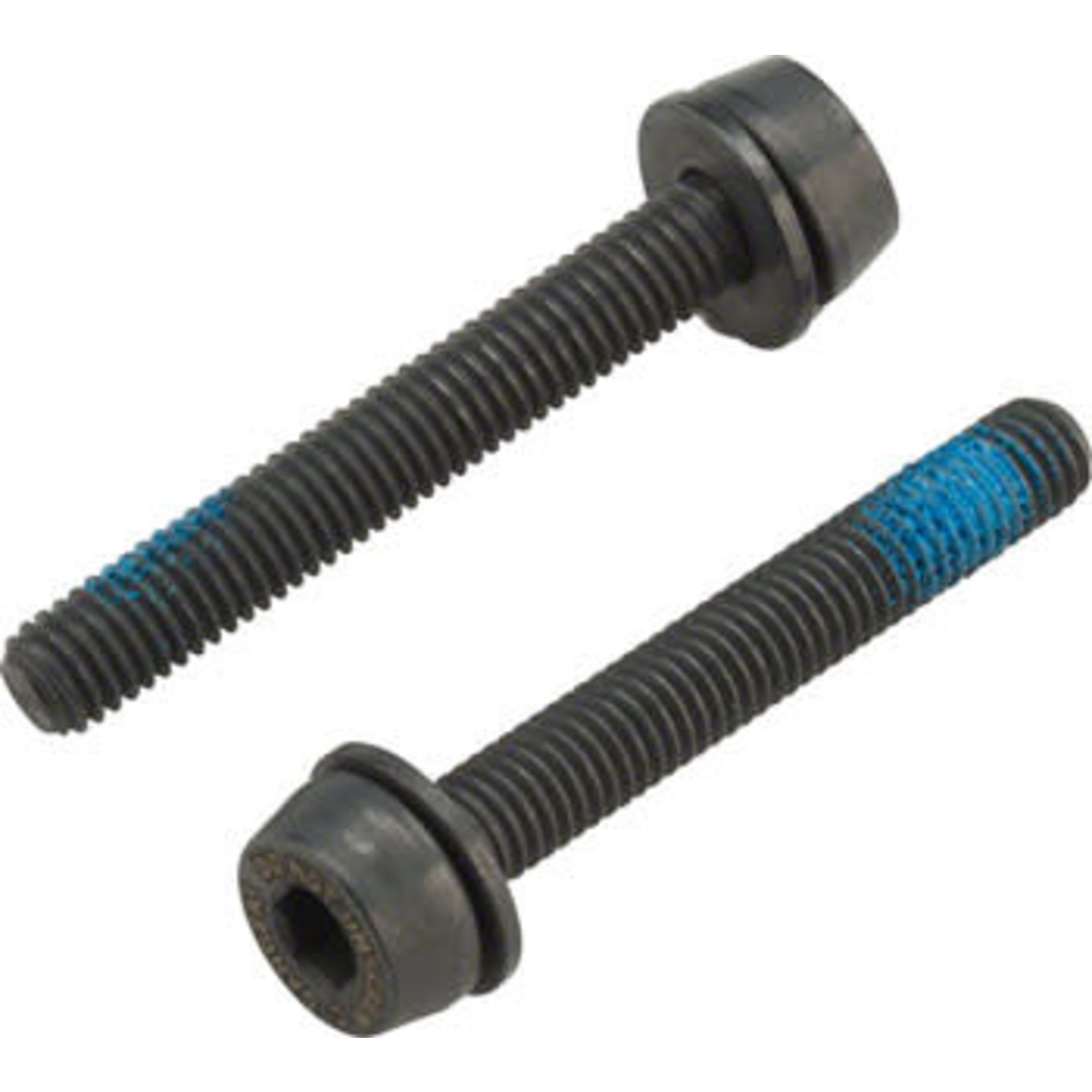 CAMPAGNOLO Campagnolo H11 Disc Caliper Mounting Screws, 2x34mm, for 25-29mm Rear Mount Thickness