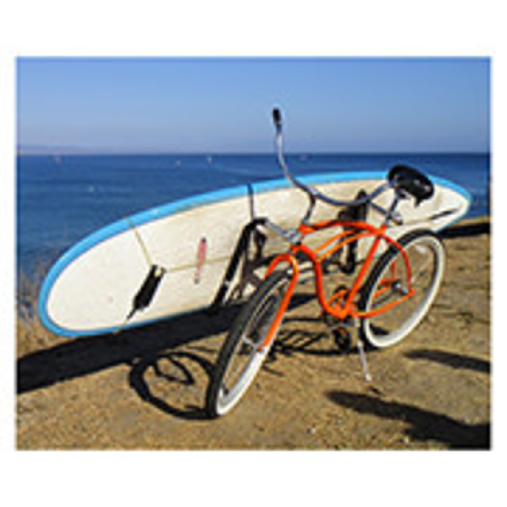 MOVED BY BIKES Moved by Bikes Longboard Rack