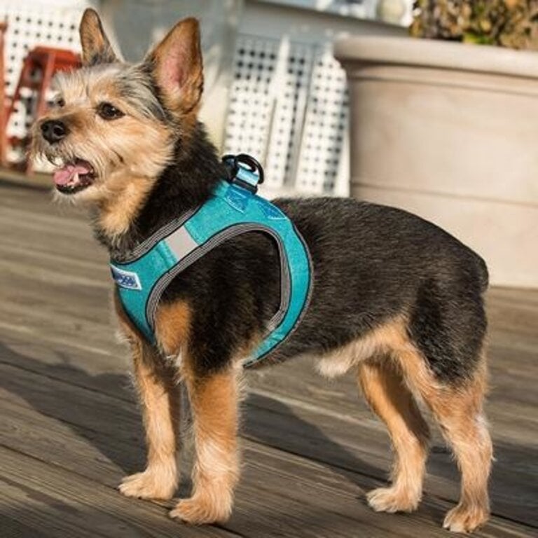 Baydog LIBERTY BAY HARNESS