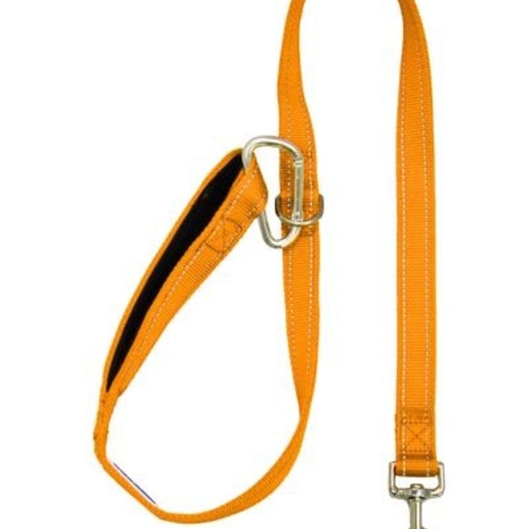 Baydog Baydog Hudson Leash