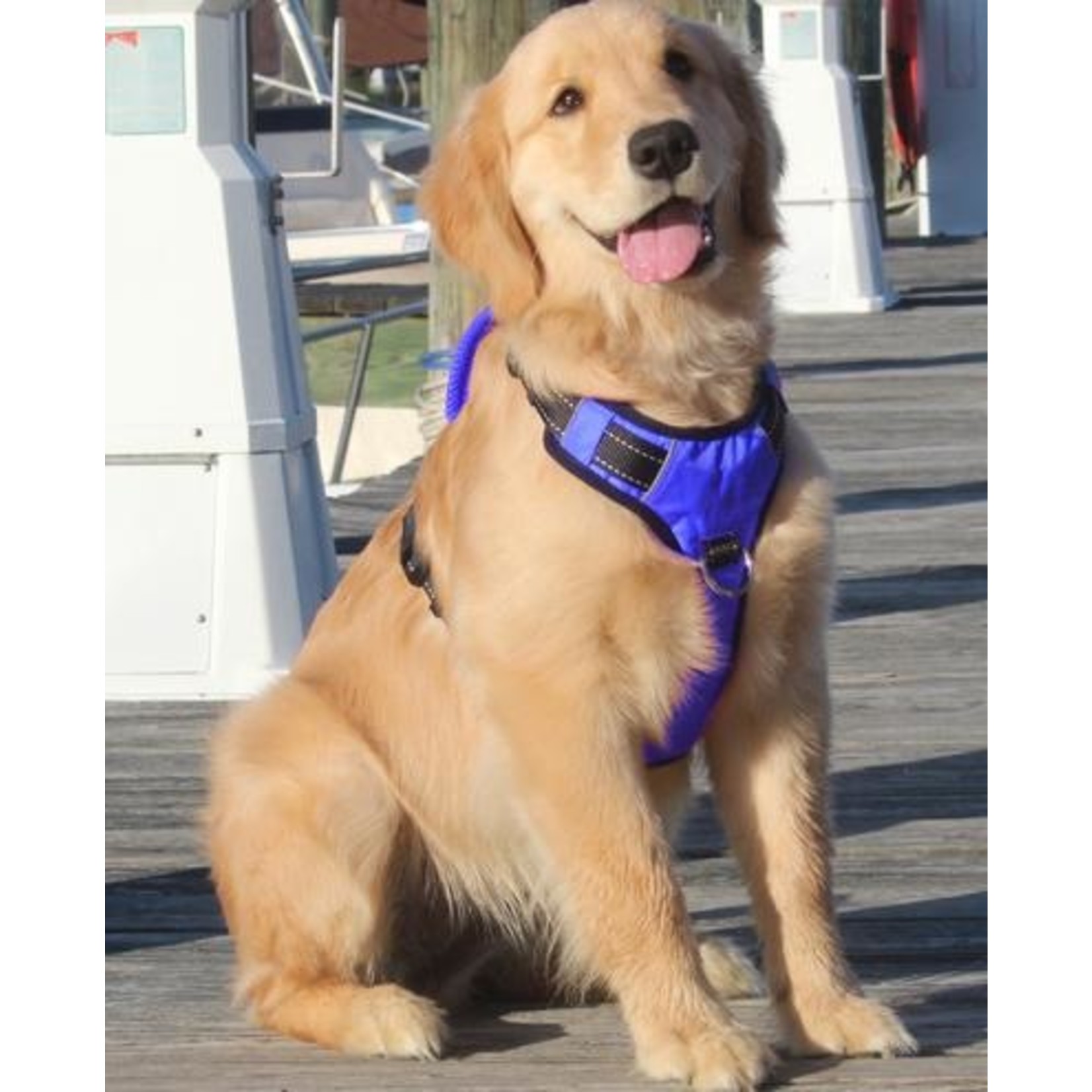 Baydog Baydog Chesapeake Harness