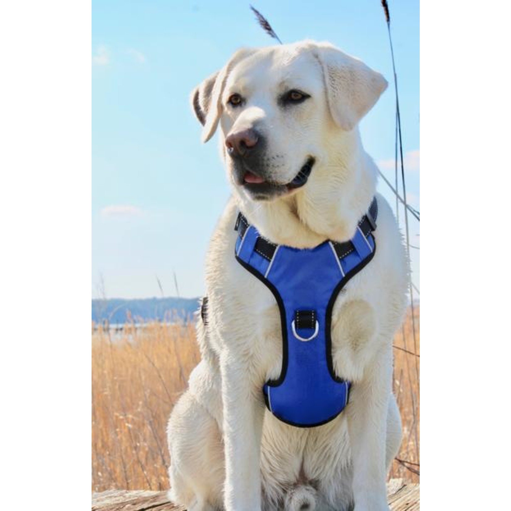 Baydog Baydog Chesapeake Harness