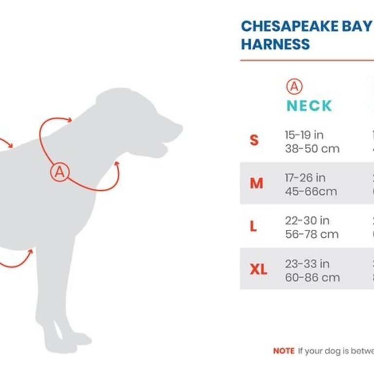 Baydog Baydog Chesapeake Harness