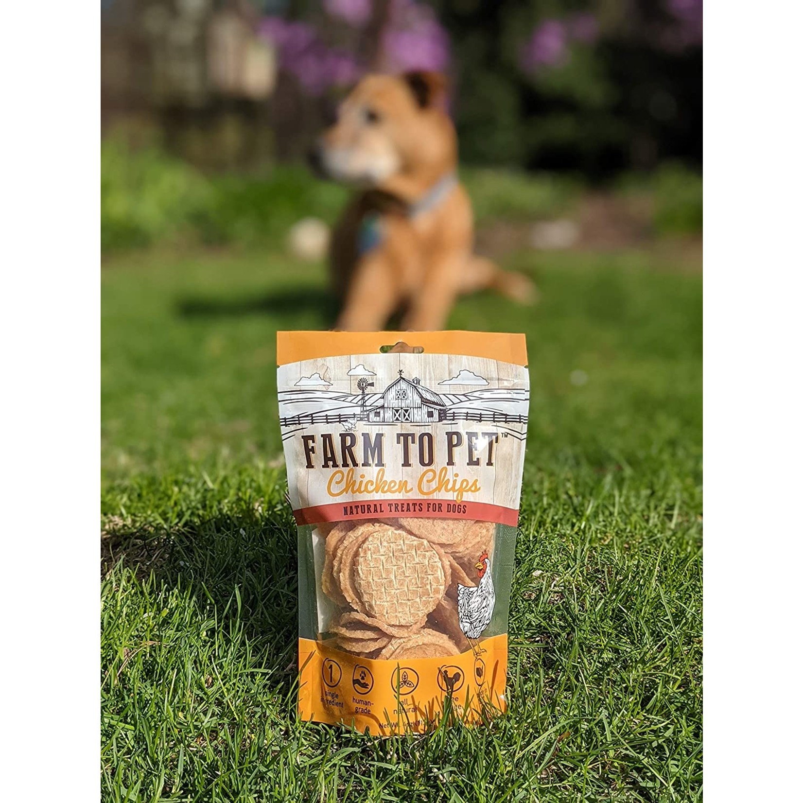 doggie chicken chips