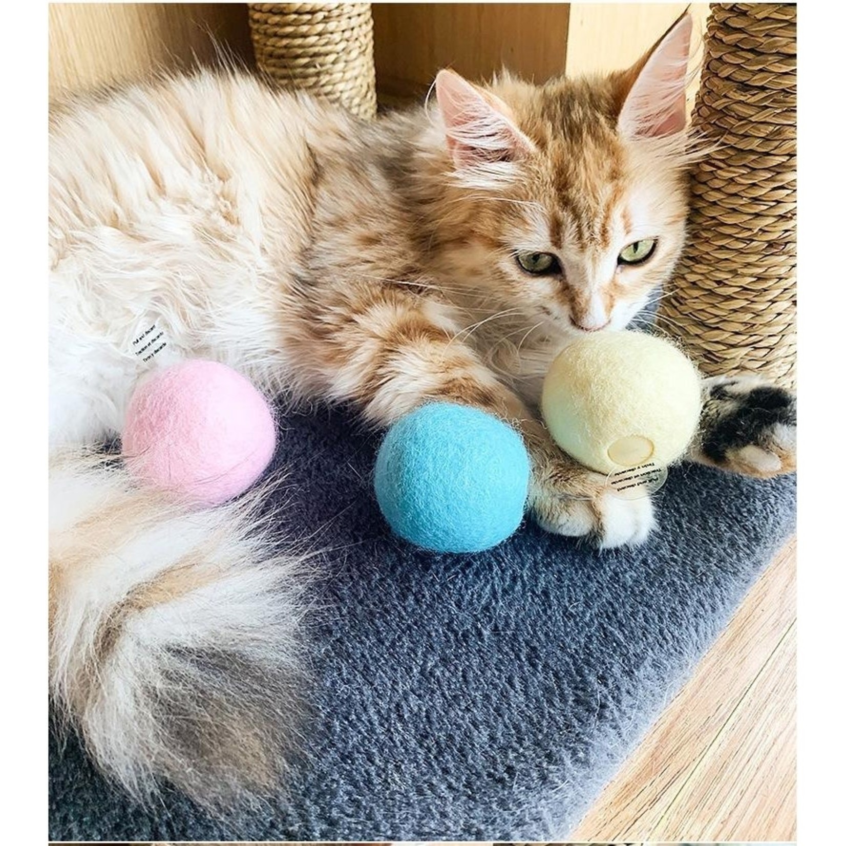 The Modern Pet Co. The  Modern Pet Co.Have a Ball Catnip Toy  Pink