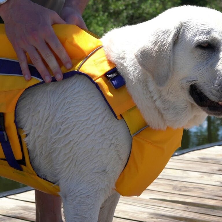Baydog Life Jacket Monterey Bay Offshore Yellow Large