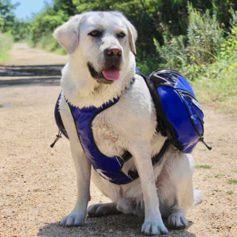 Baydog BAYDOG SARANAC BACKPACK BLUE MEDIUM
