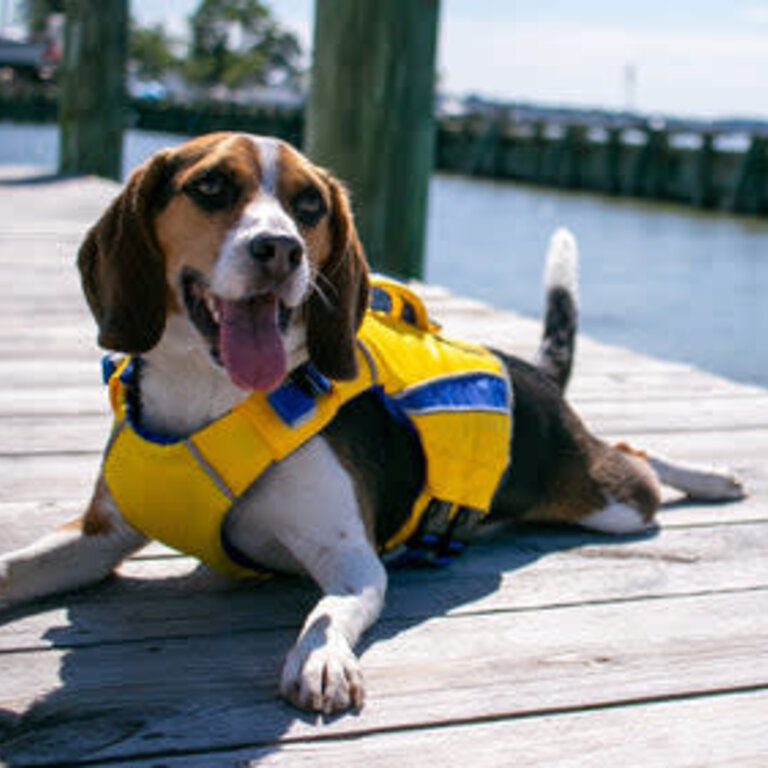 Baydog BAYDOG MONTEREY BAY LIFE JACKET YELLOW XSMALL