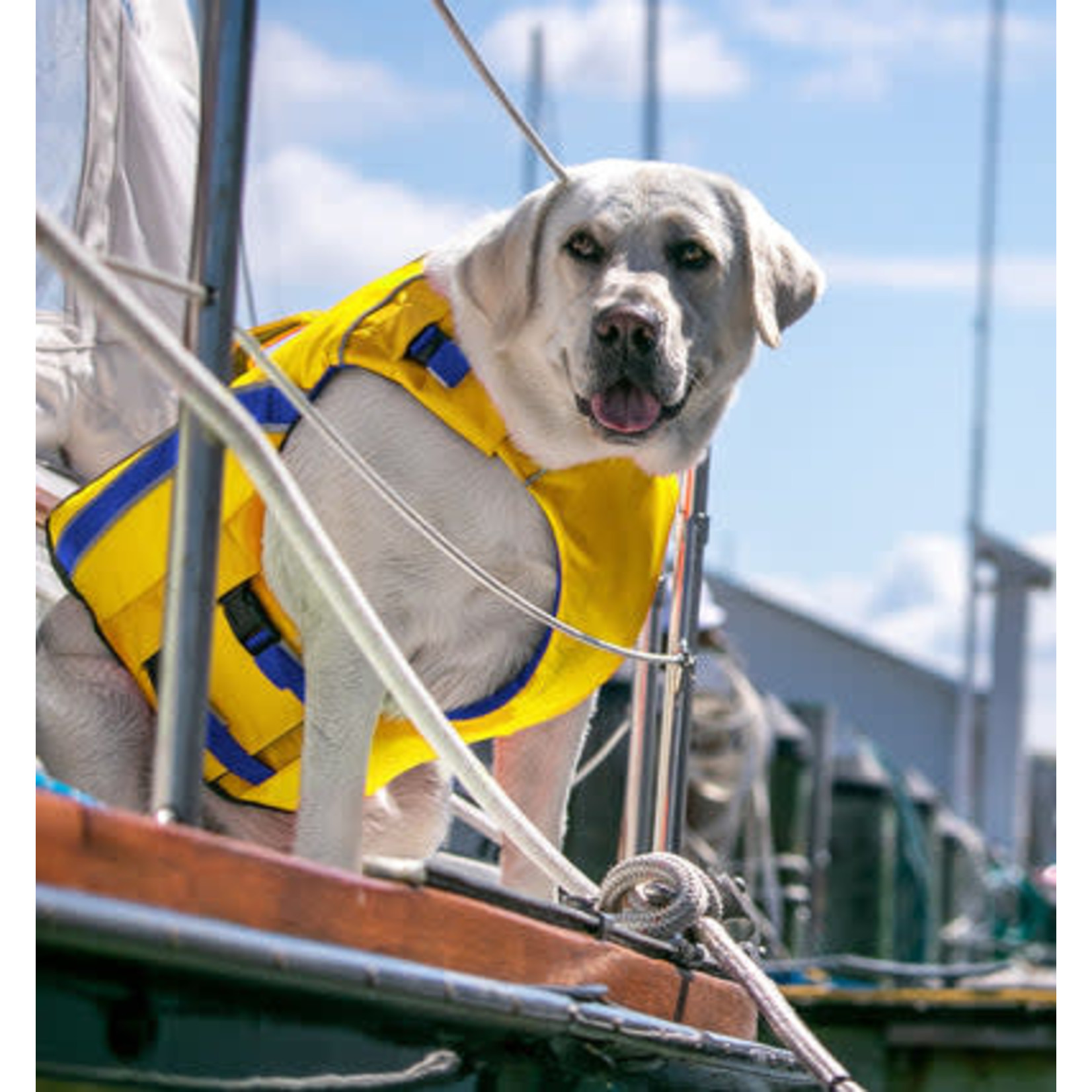 Baydog BAYDOG MONTEREY BAY LIFE JACKET YELLOW XLARGE