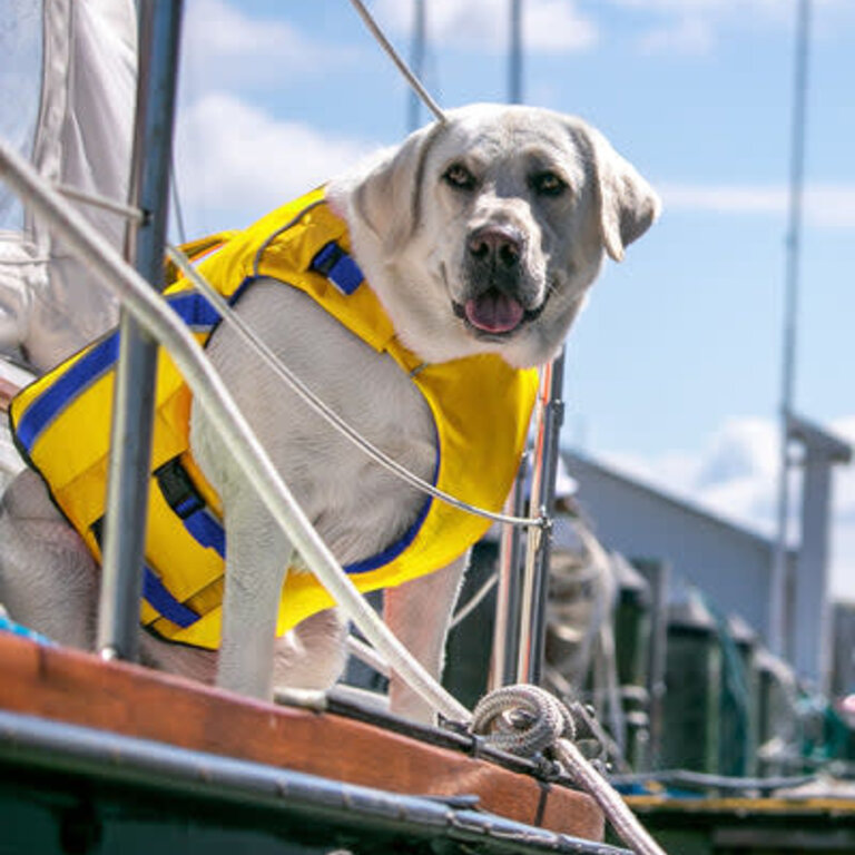 Baydog BAYDOG MONTEREY BAY LIFE JACKET YELLOW XLARGE