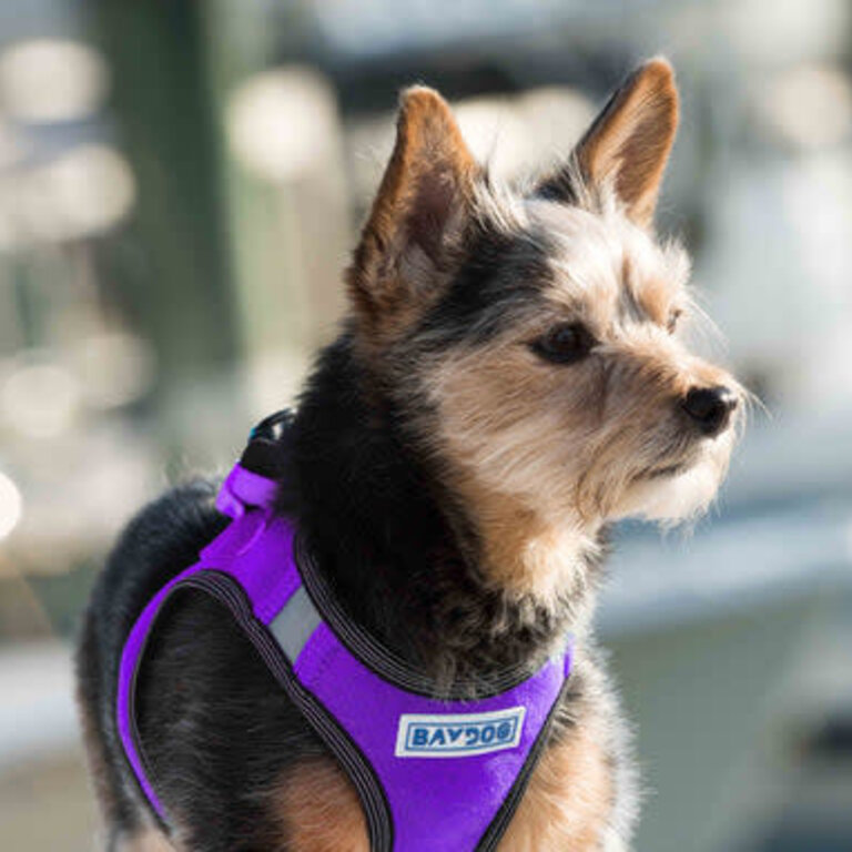 Baydog LIBERTY BAY HARNESS
