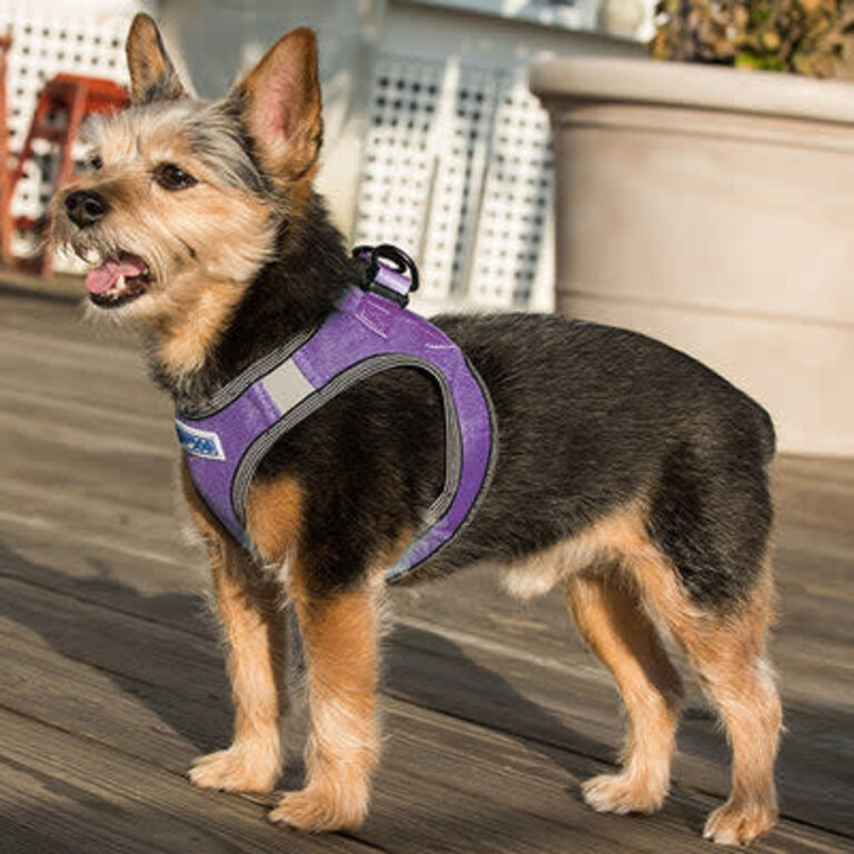 Baydog LIBERTY BAY HARNESS