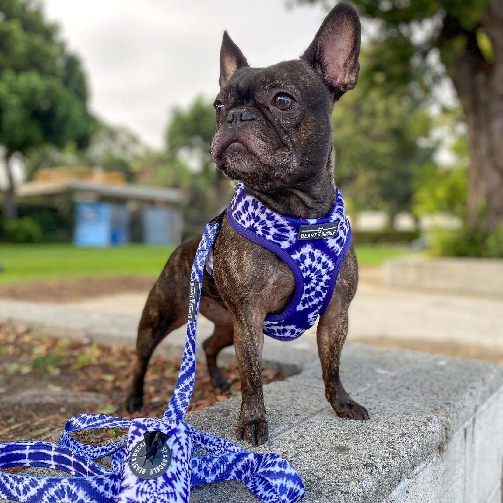 Beast and Buckle Shibori Tie Dye Reversible Dog Harness S