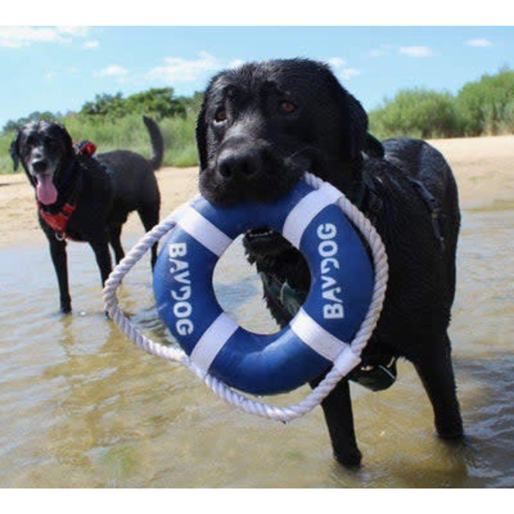 Baydog BAYDOG FETCH RING TOY BLUE