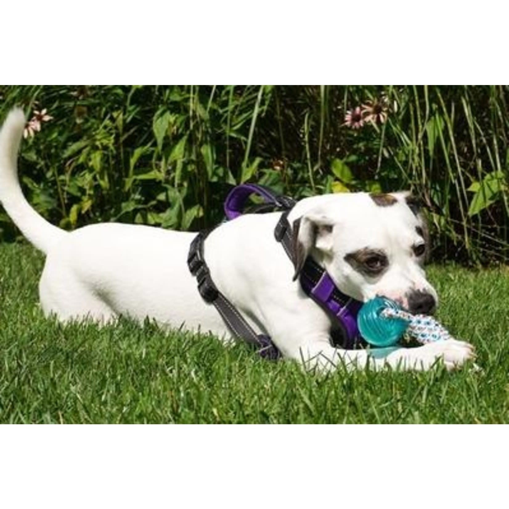 Baydog BAYDOG BUOY BALL TOY WHITE