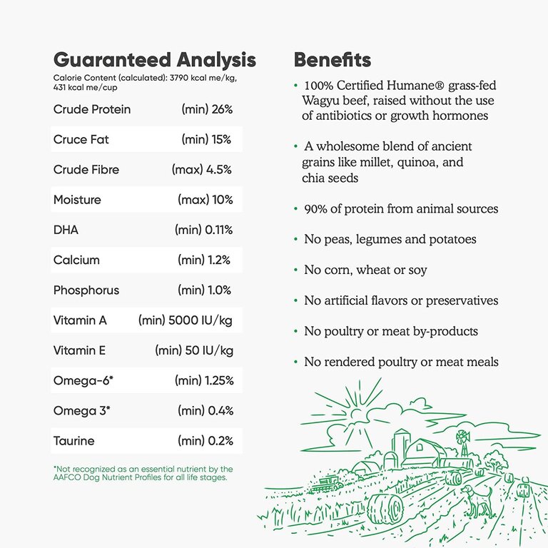 Open Farm OPEN FARM DOG DRY BEEF RECIPE ANCIENT GRAIN